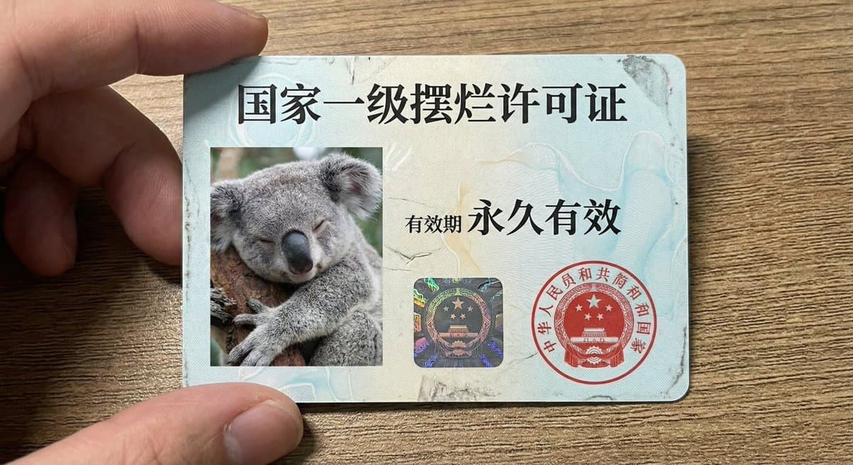 National Level Slacker License
